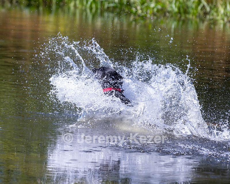 Baxter Morrow