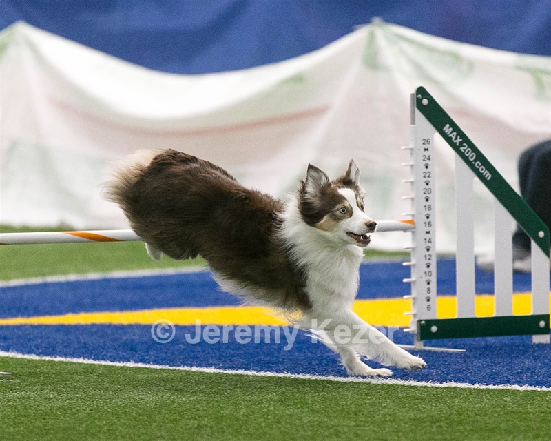 20150322-LEAP-0868.jpg