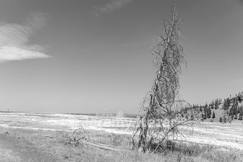 Yellowstone National Park