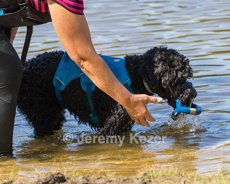 Fenwick Janet