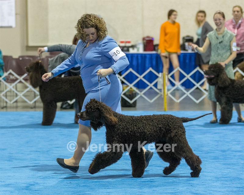 10 - Poole's Ide Touch Of Mink (Darla)