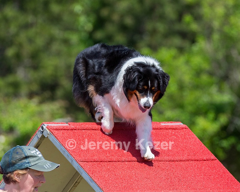 Kona Destremps