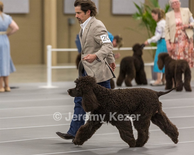 201 - CH Realta & Sycomore O’Boy