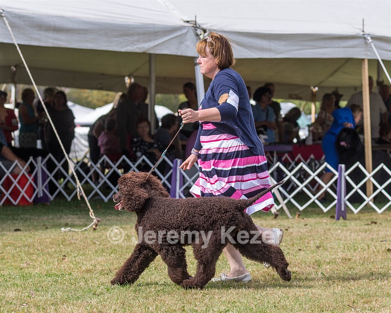 20 - GCH ALL GREEN WI'ENVY V ALPHA NORDIC DS CD RE