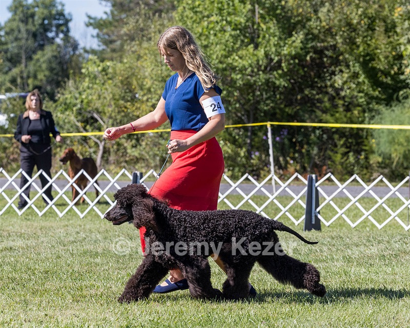 24 - POOLE'S IDE MODERN LOVE CGC (Remi)