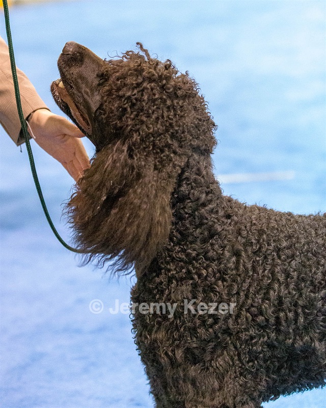 20190113-ASC-0016.jpg