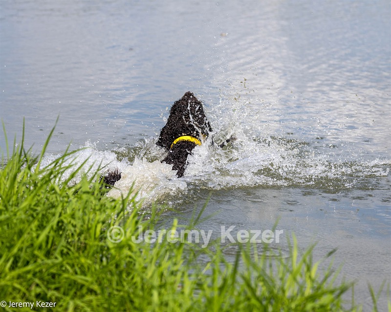 Arrow Kezer