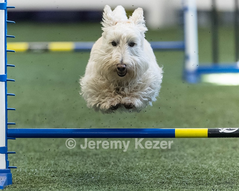 Monty Krapf