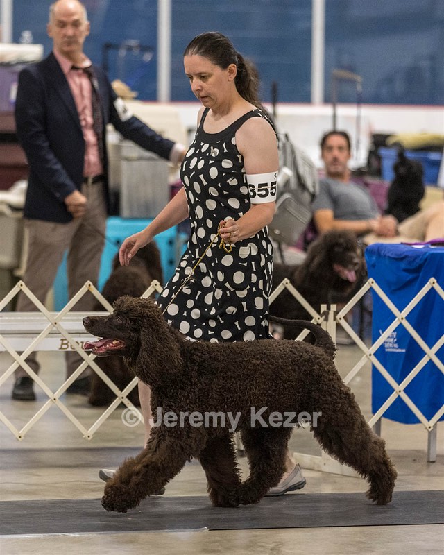 355 - GCH Ildanoch's Party Rock Anthem