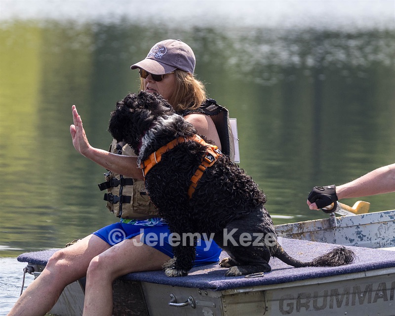 Liza Brogan