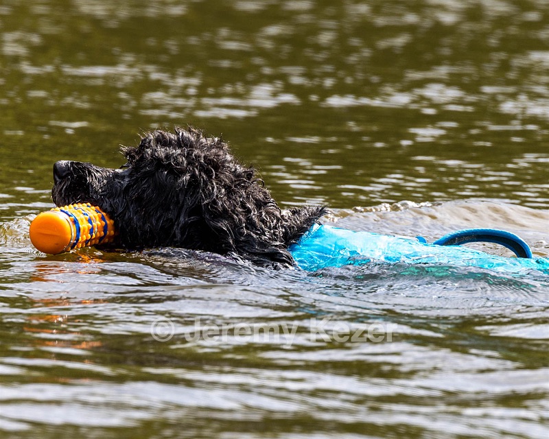 "Fenwick" and Janet