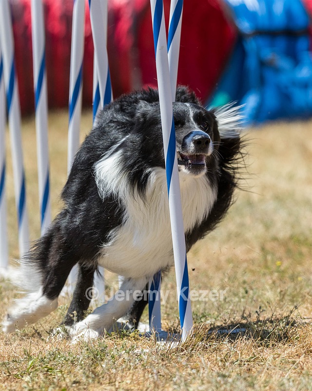 20160618-CCKC-1589.jpg