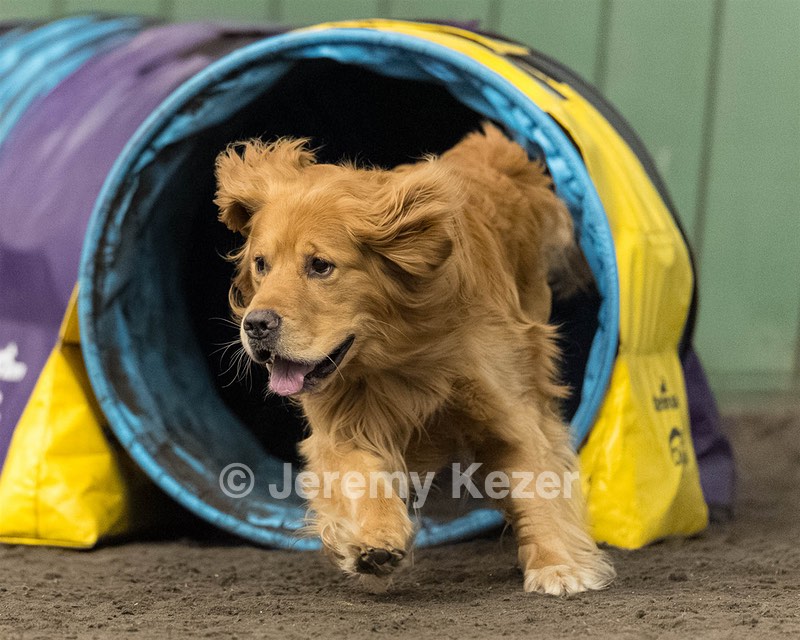 Pup-Pup Beaulieu