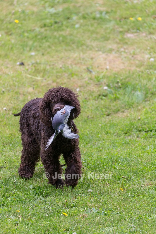20190512-BD-0007.jpg