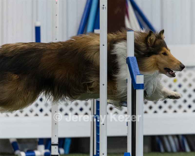 Deeks Jersey