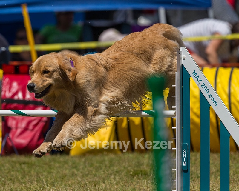 20190615-CCKC-1061.jpg