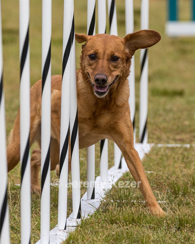20190616-CCKC-1576.jpg