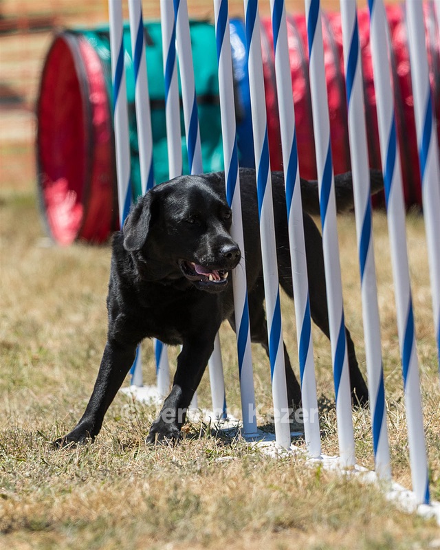 20160618-CCKC-1635.jpg