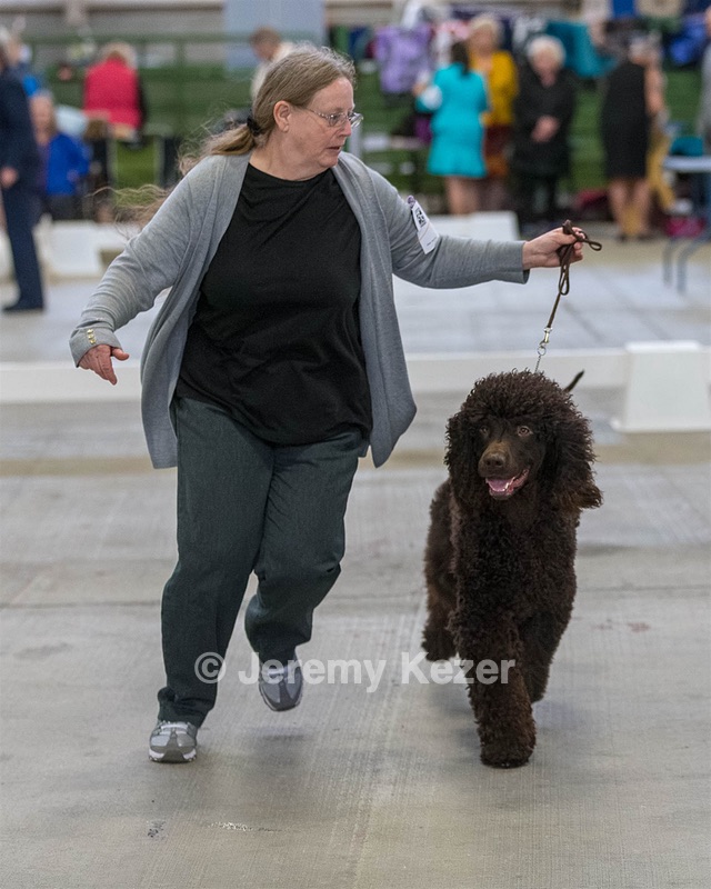 13 - Whistle Stop's Jokers Wild (Joker)