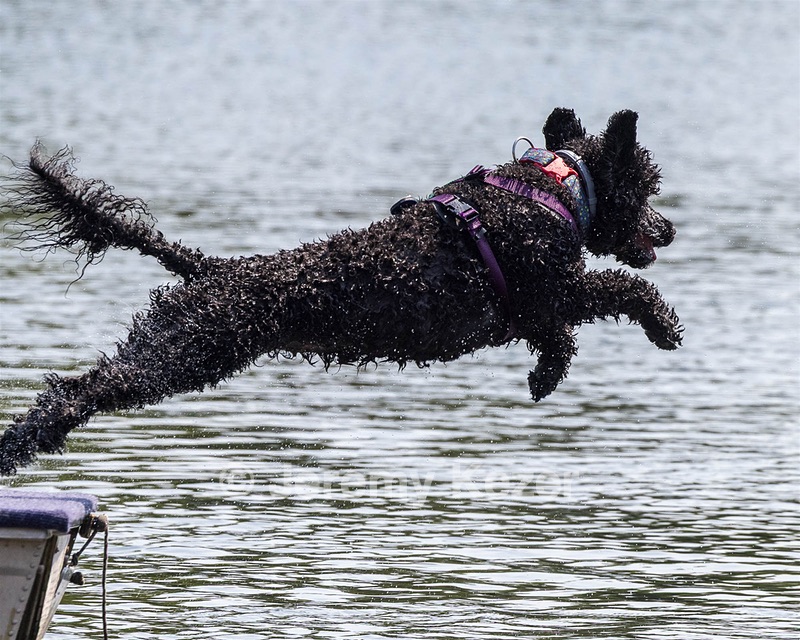 Xena Zusman