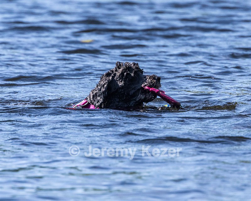 Tango Abbruzzese