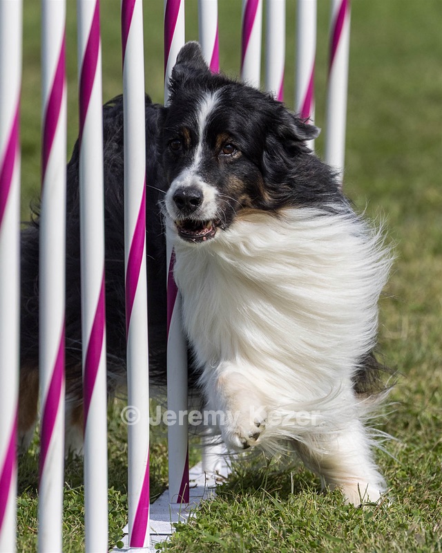 20230916-PVKC-1201.jpg