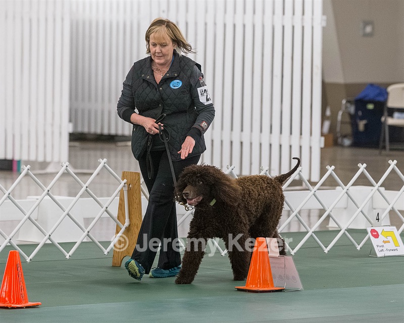 2301 - CH MALLYREE'S MR ODIN OF MADRONA (Odin)