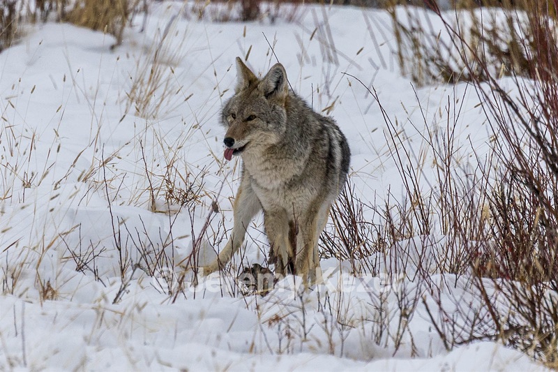 20220205-1110.jpg