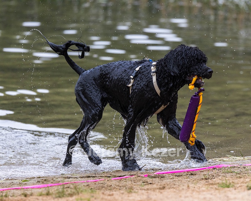 Ziva Hyres