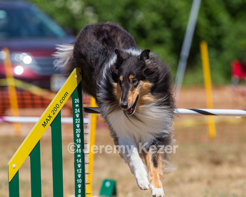 Jazz Smith
