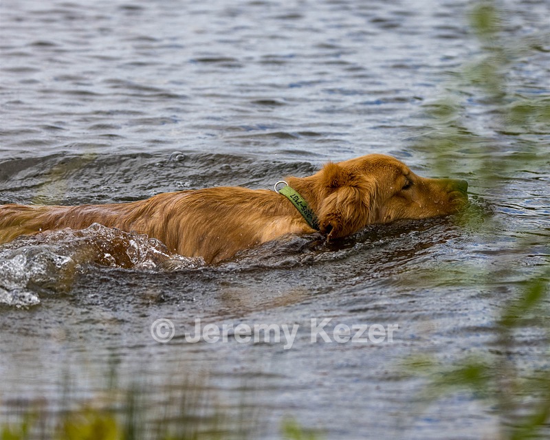 Devon Washburn