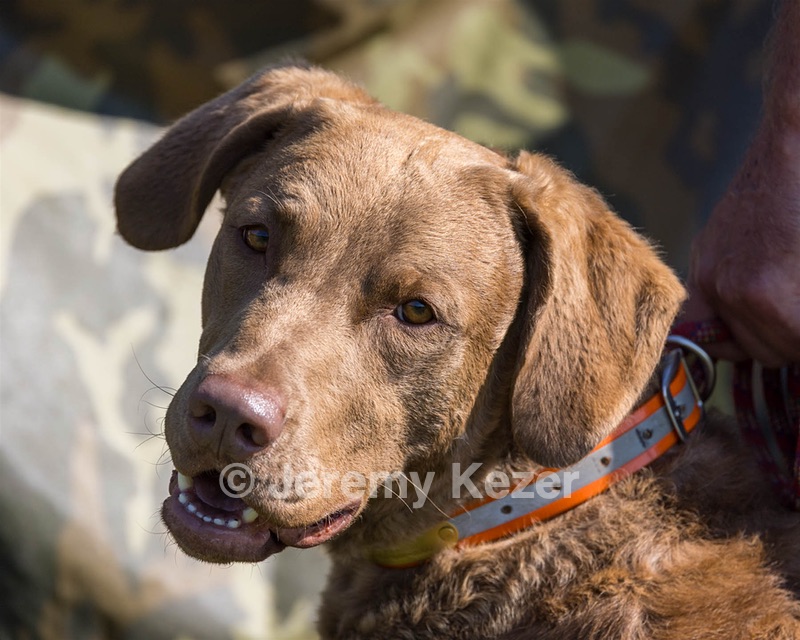 Timber O'Neil