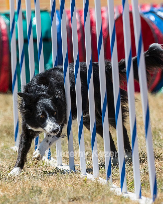 20160618-CCKC-1758.jpg