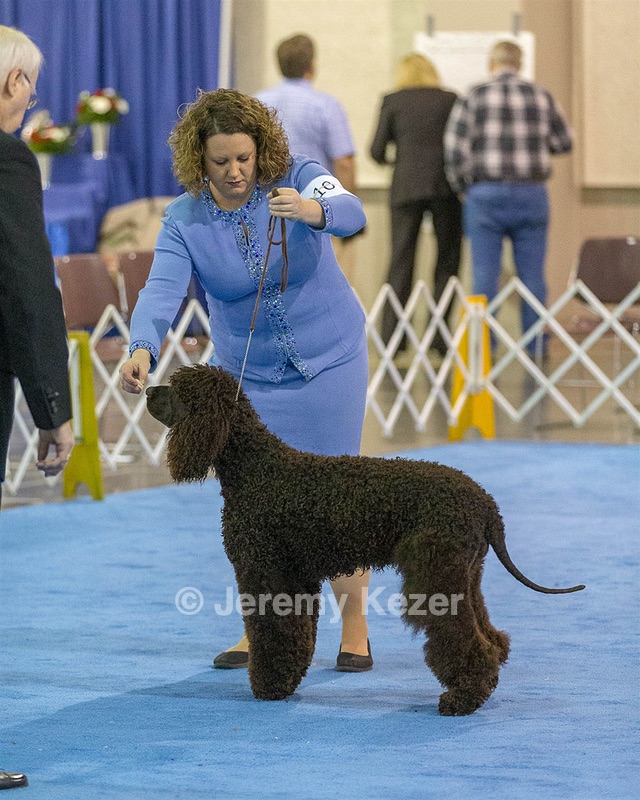 10 - Poole's Ide Touch Of Mink (Darla)