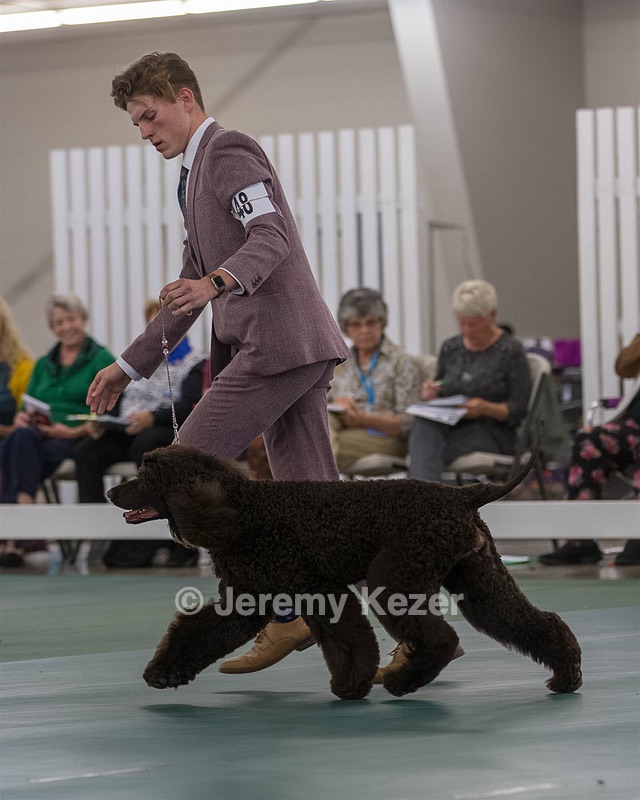 48 - GCH WHISTLE STOP'S TERRA MARIQUE POTENS (Honor)