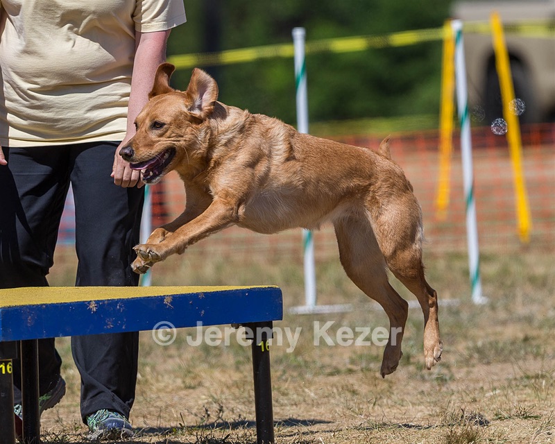 20160619-CCKC-1464.jpg