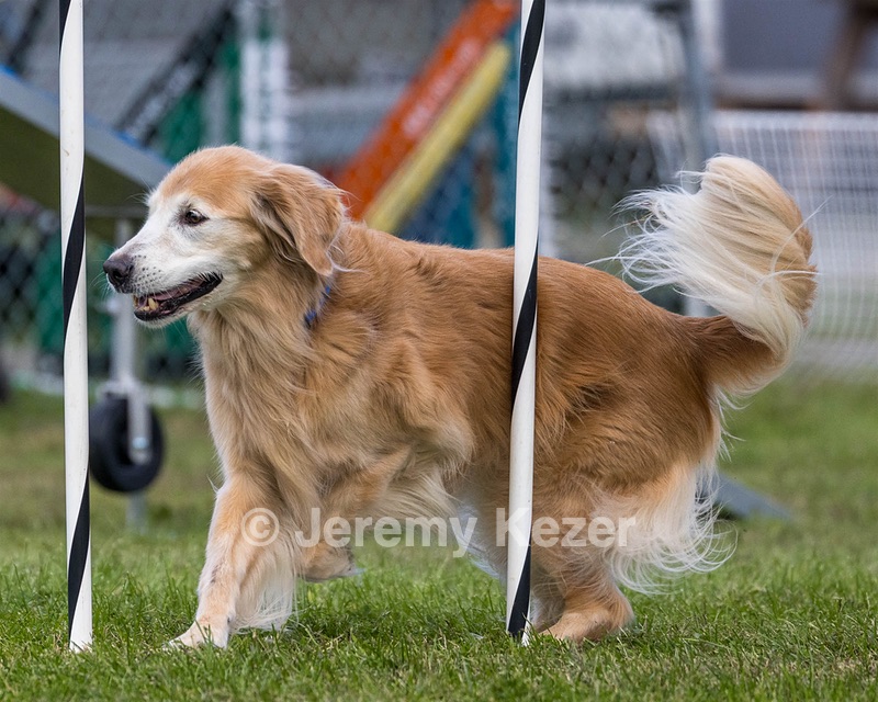 20230917-PVKC-2797.jpg