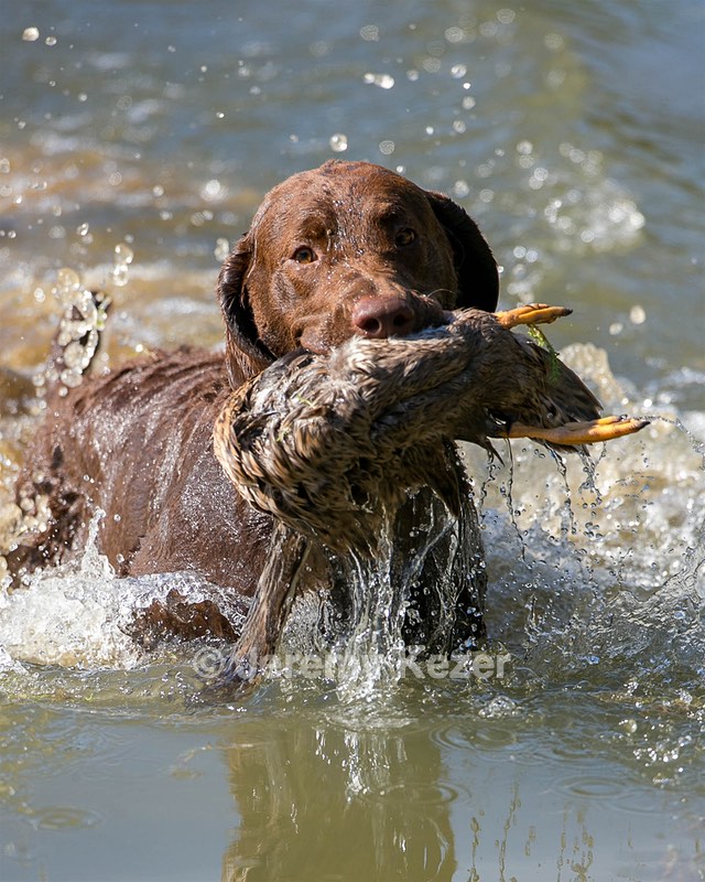 Autumn Barrett