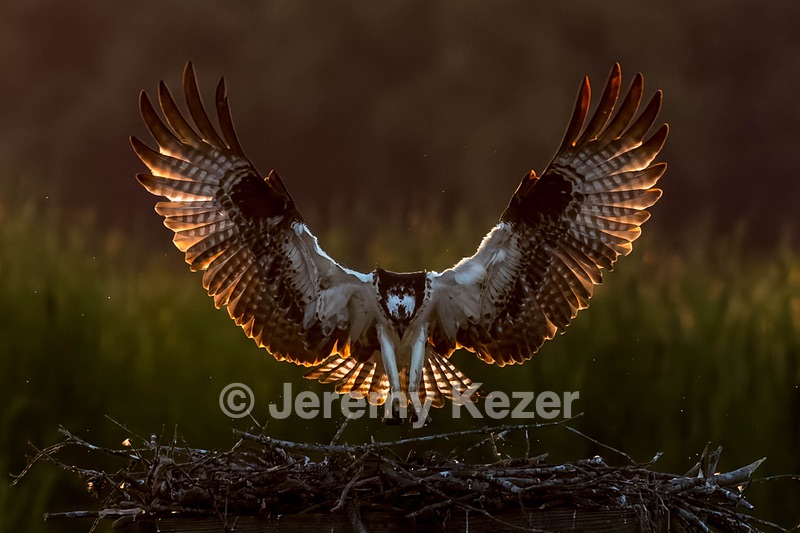 Osprey, Maryland