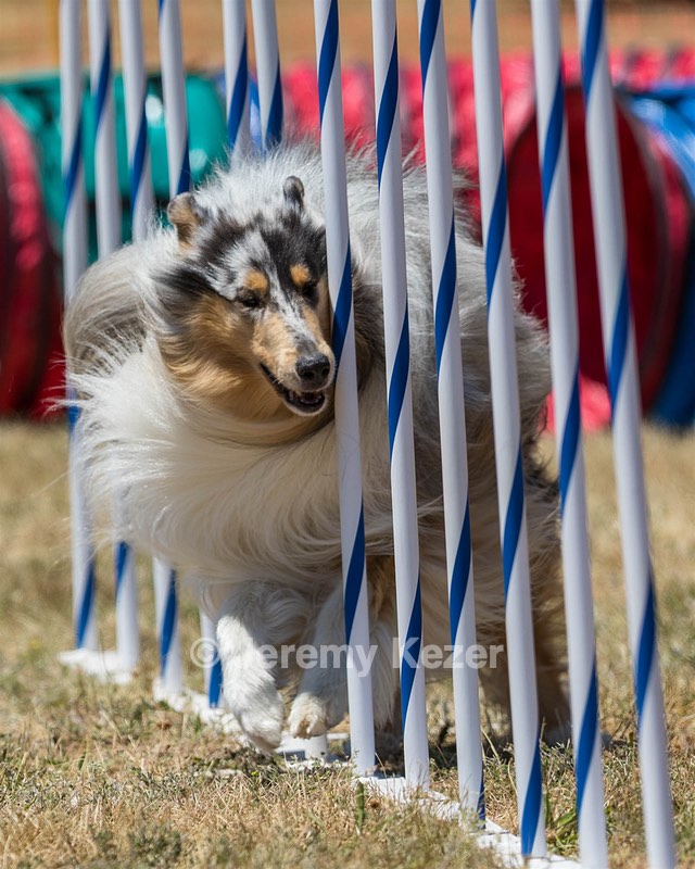 20160618-CCKC-1046.jpg