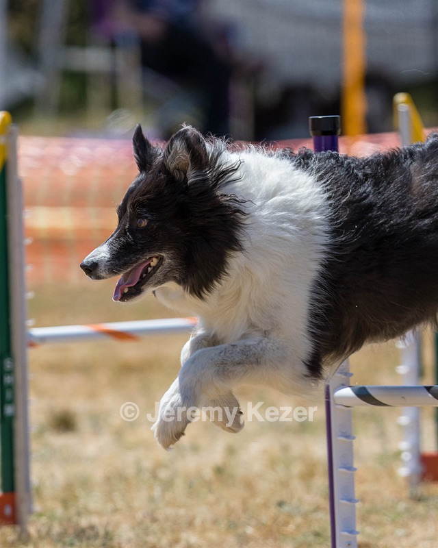 20160618-CCKC-1782.jpg