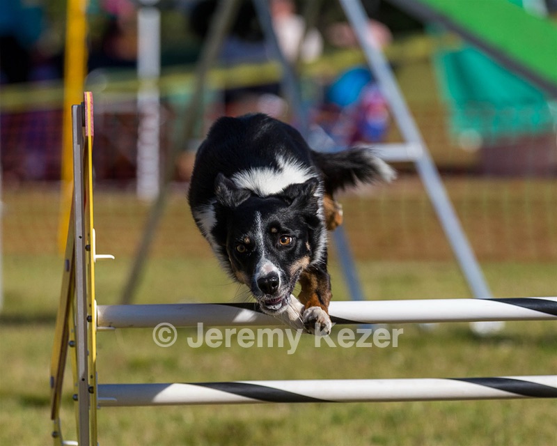 20190615-CCKC-0075.jpg
