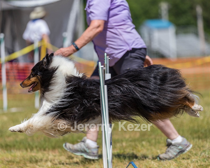 20180617-1355.jpg