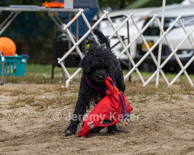 20210912-MWD-0120.jpg