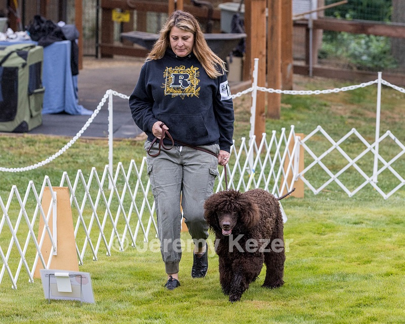 1741 - GCH CH BREKKON'S FIRST MARK CGC
