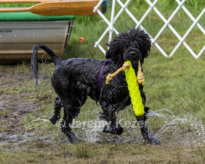 Saoirse