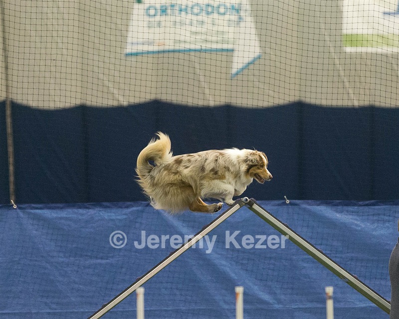 20150321-LEAP-0774.jpg