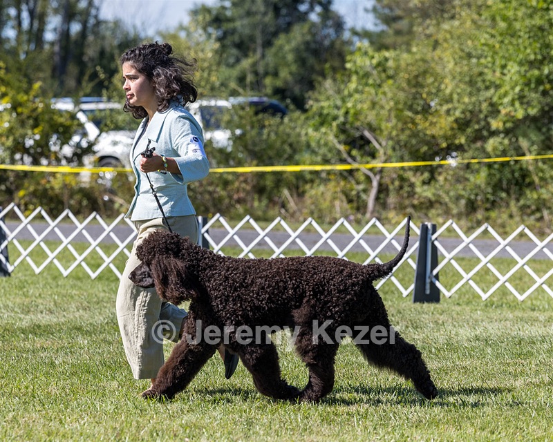 09 - GCH CH POOLE'S IDE DARK KNIGHT RN CGC TKN ATT (Oscar)