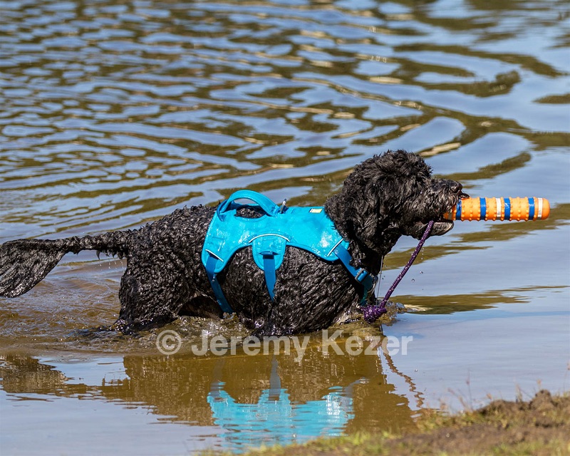 Fenwick Janet