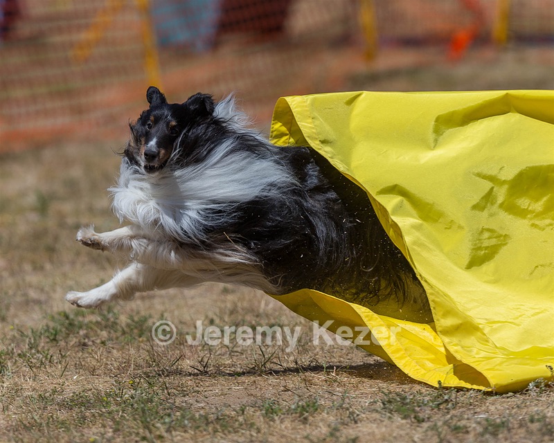 20160619-CCKC-1244.jpg